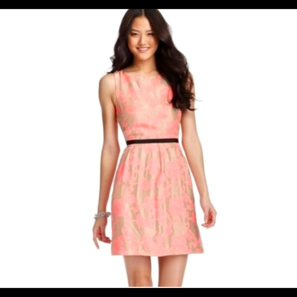 Loft jacquard floral pink dress size 12